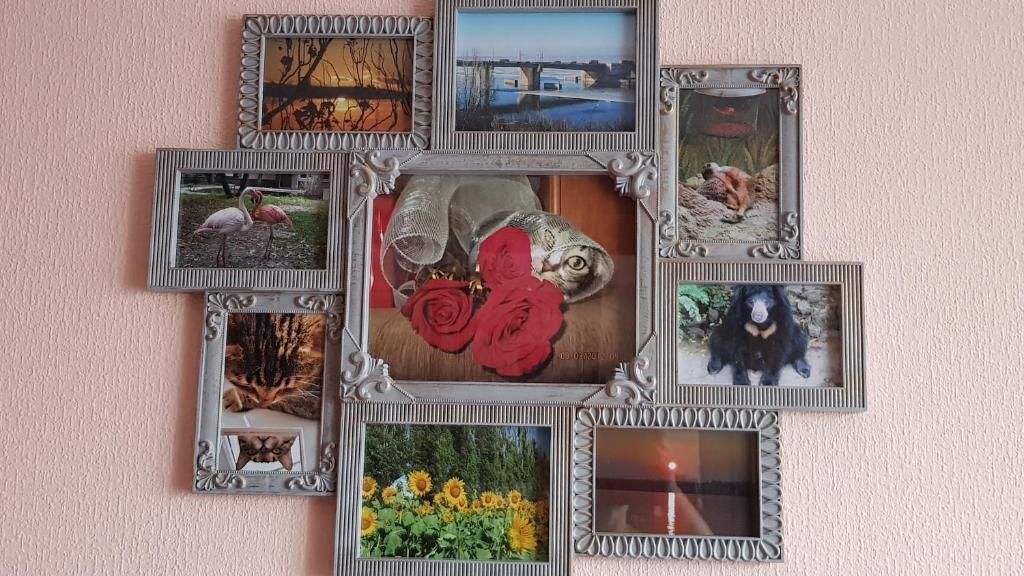 Апартаменты По-домашнему уютная квартира в центре города Николаев-30