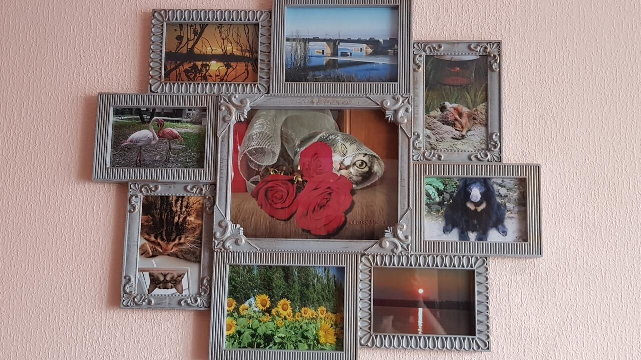 Апартаменты По-домашнему уютная квартира в центре города Николаев-9