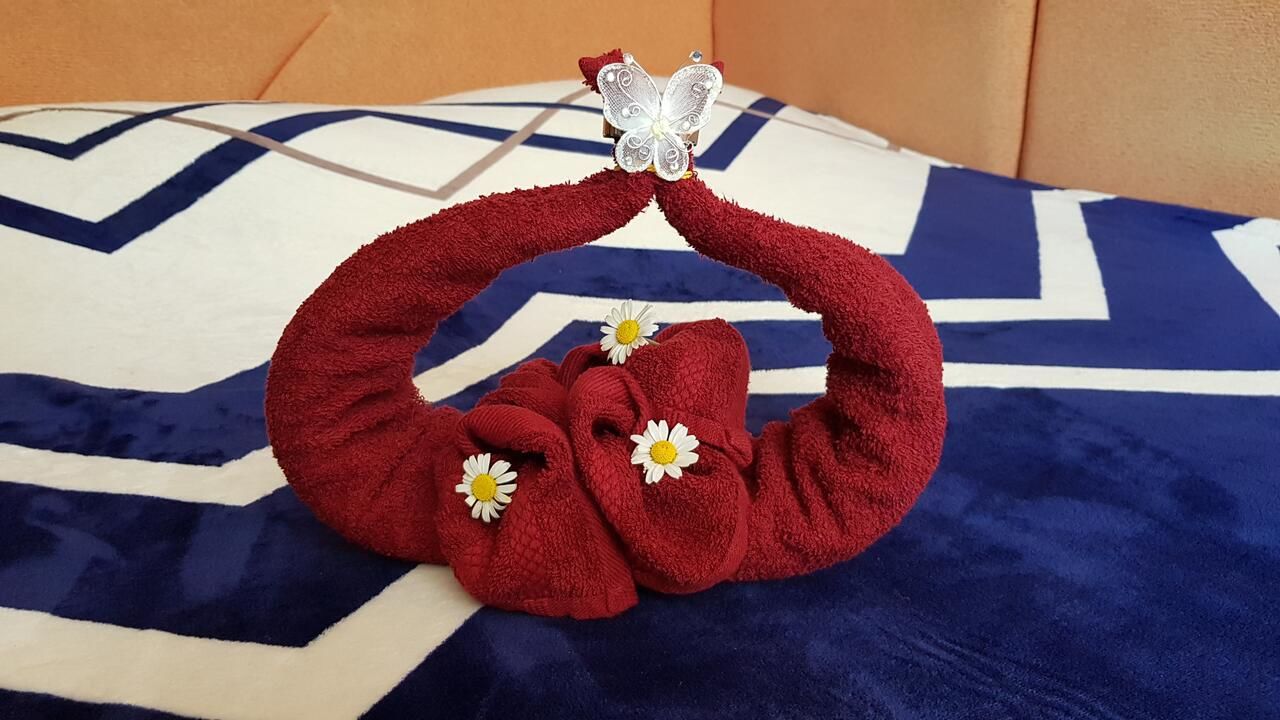 Апартаменты По-домашнему уютная квартира в центре города Николаев-11