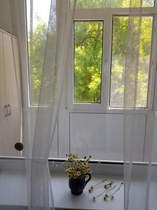 Апартаменты По-домашнему уютная квартира в центре города Николаев Апартаменты с 1 спальней-34